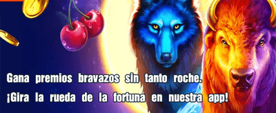 Experiencia de Casino NV